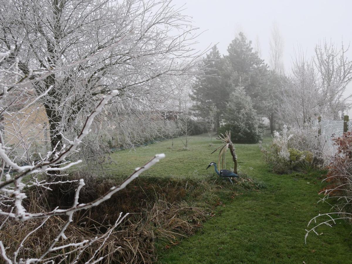 Bed and breakfast Gite Enchanteur Avec Jardin Prive Et Climatisation Pres Du Chateau D'Azay-Le-Ferron - Fr-1-591-457 Extérieur photo